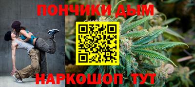 индика Ливны