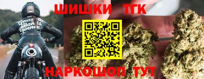 индика Ливны