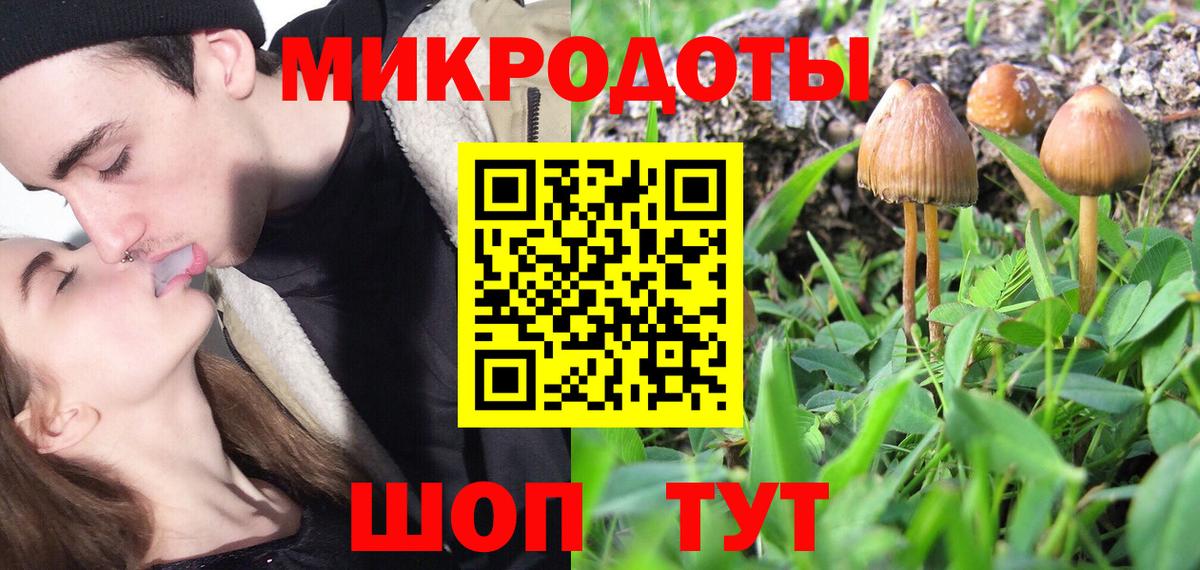 Псилоцибиновые грибы Psilocybe  Вход с VPN  купить закладку  Дербент 