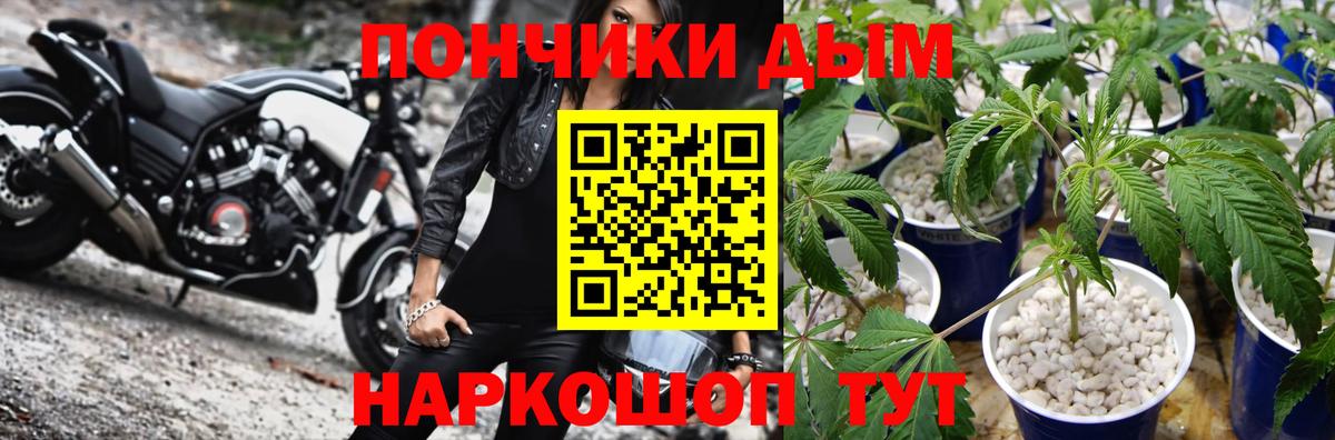 Конопля сатива  Бошки марихуана семена  Дербент  МАРИХУАНА тримм  Канабис THC 21%  Вход с VPN 